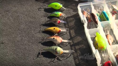 Fishing for Smallmouths with Crankbaits