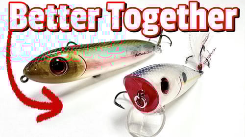Topwater Bait Tandem Produces MORE and BIG BASS