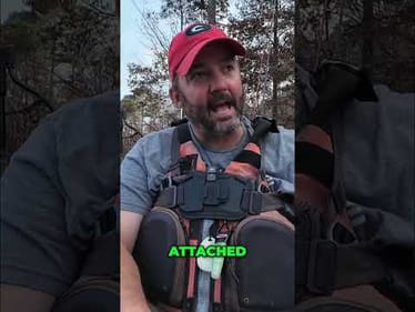 Bass Fishing: Shallow Water Feeding Frenzy Revealed! #shorts