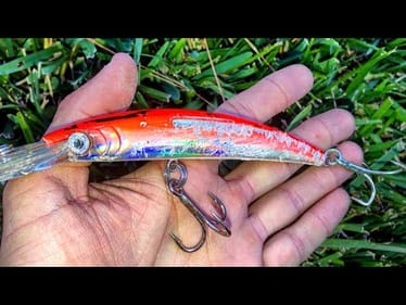 DANGEROUS FISH DESTROY our LURES! (UNEXPECTED CATCH)