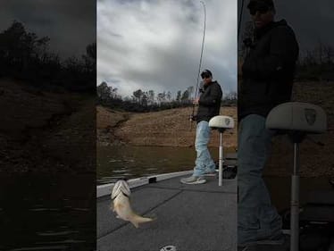 Counting Rocks 🪨 #bassunion #bassunionjigs