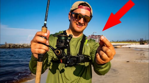 This Lure CRUSHES Fish While Fishing from SHORE