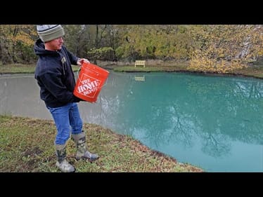 How Can I Make my Muddy Pond Turn Clear?