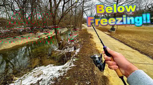 Where are they? Winter Creek Fishing...