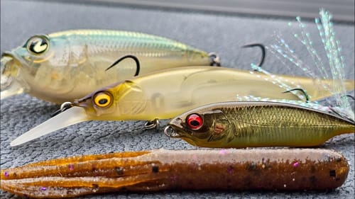 4 Baits That Catch Fish When Bass Won't Bite!