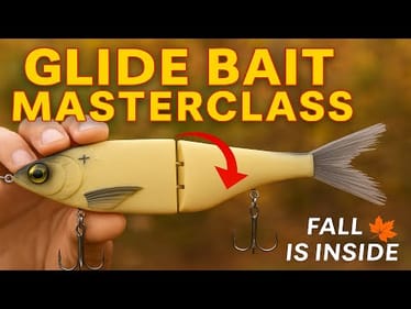 Fall Glide Bait Masterclass: Where, When & How to Fish It Right | Bass Fishing