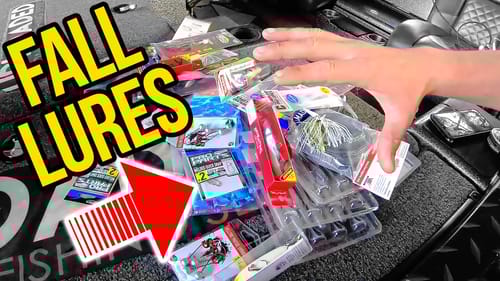 ONE BOX for FALL Bass Fishing + NEW Fishing Reel (DAIWA)