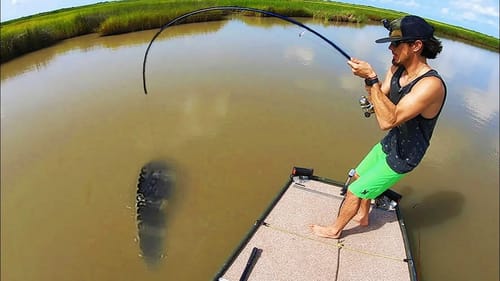 “IS THAT EVEN A FISH?!” (MASSIVE CREATURE)