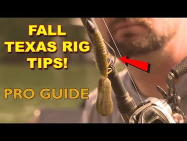 Fall Bass Fishing Tips: How to Catch More Fish with a Texas Rig  | Bass Fishing