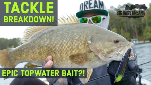 Big Bass on Topwater Walking Baits - Tackle Breakdown Diamante