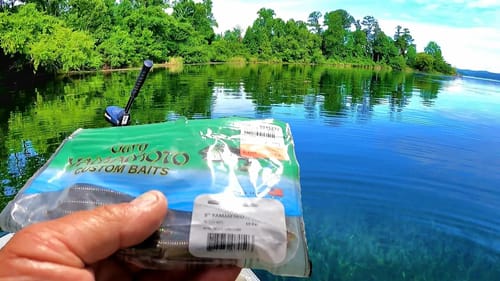 EXTREMELY EFFECTIVE Way To Fish A Senko!!! Bass Fishing Bluegill Beds
