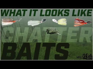 What It Looks Like - CHATTERBAITS