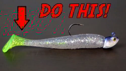 Catch 5X MORE Bass This Spring By Doing THIS!