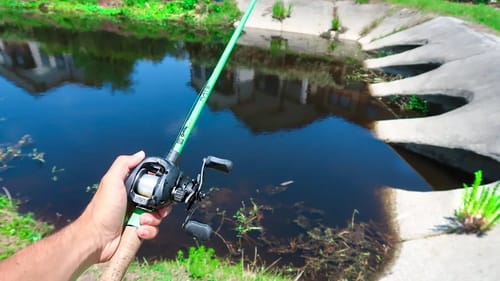Searching for GIANT BASS in BLAZING Heat (Bed Fishing)
