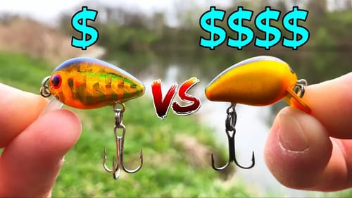 CHEAPEST Tiny Crankbait Vs EXPENSIVE Twin!!! (BIG BASS)