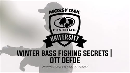 Winter Bass Fishing Secrets   Ott DeFoe Fishing Tips