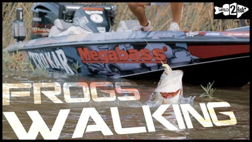 Improve Your Frog Fishing Game with These Tips