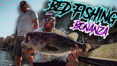 Hunting A Potential Lake Record Bass for 5 Days. Bed Fishing BONANZA!