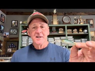 3 Lures You Should To Keep To Yourself…