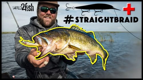 4 Tips for Jerkbait Fishing Spring Bass with Braided Line