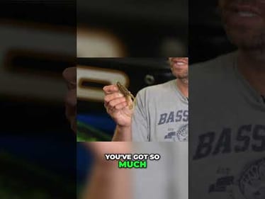 Do you use a toad in open water? #bassfishing #september