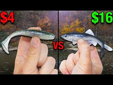$4 vs $16 Swimbait Fishing Challenge