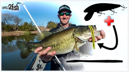 Jerkbait and Drop Shot Winter Bass | 1-2 Punch