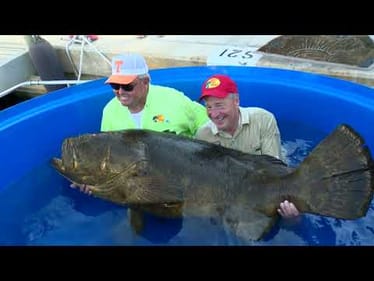 Just One More Part 1 | Bill Dance Saltwater