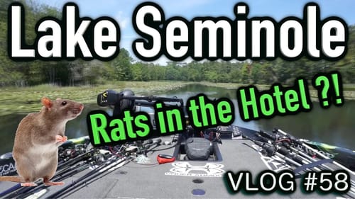 Rats in the hotel?!  - Lake Seminole ~ Vlog #58