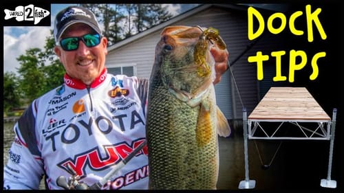 Bass Fishing Boat Docks: 5 Tips That Improve Success
