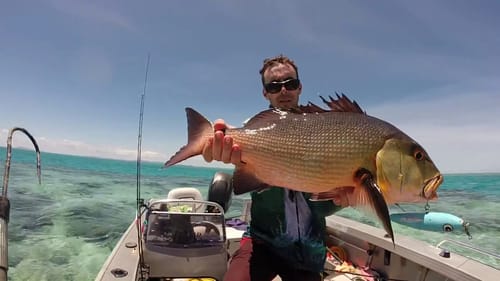 CRAZY CAPE YORK FISHING GT, CORAL TROUT, RED BASS