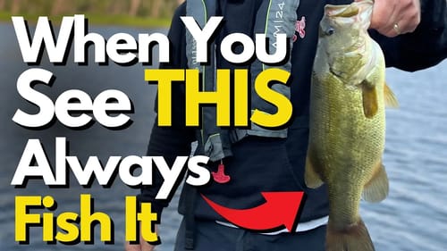 Bass Hold Here 365 Days a Year | Bass Fishing Tips