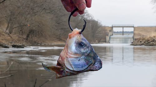 I was Afraid of This Happening... (Power Plant Spillway Fishing)