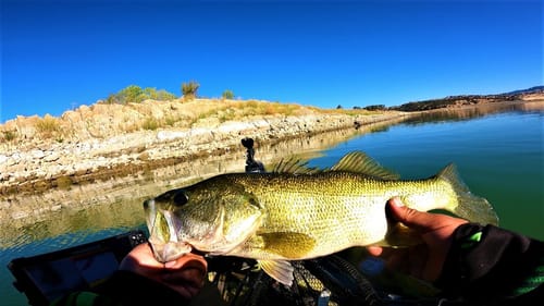 Ca Bass Nation/Wild West Bass Trail on Lake Berryessa