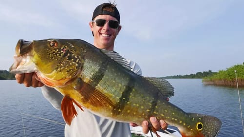 GIANT AMAZON PEACOCK BASS! | Fishing Peacock Bass in the Amazon pt.3