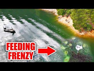 In 35 Years of Fishing I've NEVER Experienced anything like THIS!