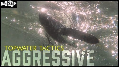When and How to Fish Big Topwater Bass Baits