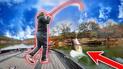 Texas Winter Bass DESTROY Big Swimbaits! (Wasn't Expecting THIS yet)