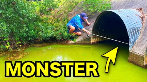BEHEMOTH FISH in CITY FLOOD WATERS!! (INSANE)