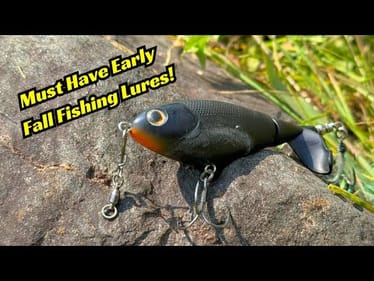 These Are MUST Have Early Fall B.A.S.S. Fishing Lures! Don’t Miss Out!