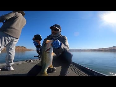 ROOSEVELT Lake WINTER Madness: Fish After Fish!