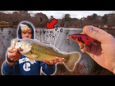 Catching GIANT Bass In LOADED PONDS (Insane!)