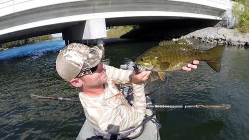 A Couple Bridge Bass