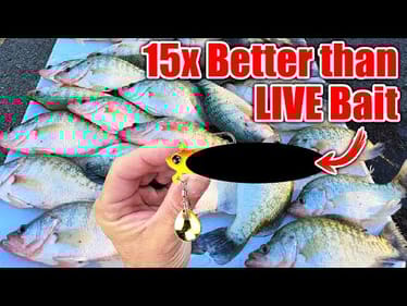 this New Lure OUT FISHES Live Bait 15 to 1!!! (BEST Crappie & Bass Winter Bait)