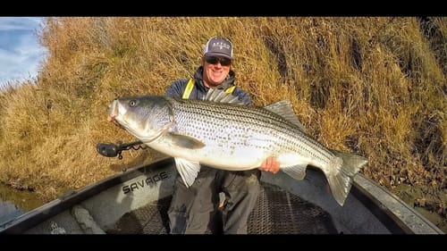 Matt Broke his PB with this MONSTER!!!