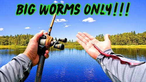 Throwing BIG WORMS ONLY During MAJOR Heat Wave!!!