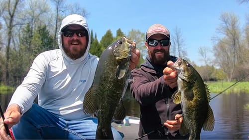 Stream Fishing Big Smallmouth In Clear Water!
