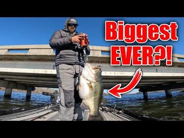 MASSIVE Texas Cold Front Ignites a FEEDING FRENZY!! (47 lb Limit)