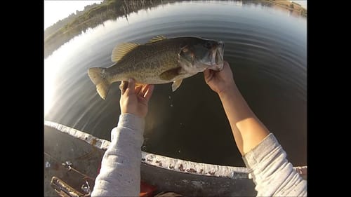 Another day on the River