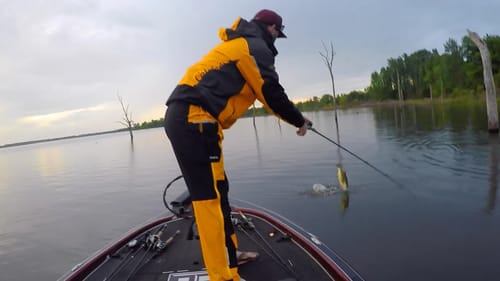 Evening Topwater Bite on Lake Fork